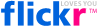 flickr.com